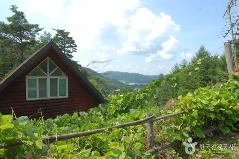 酒泉江自然休養林(주천강자연휴양림) (29/35)