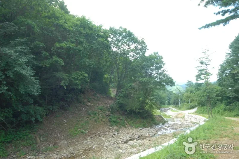 酒泉江自然休養林(주천강자연휴양림) (30/35)
