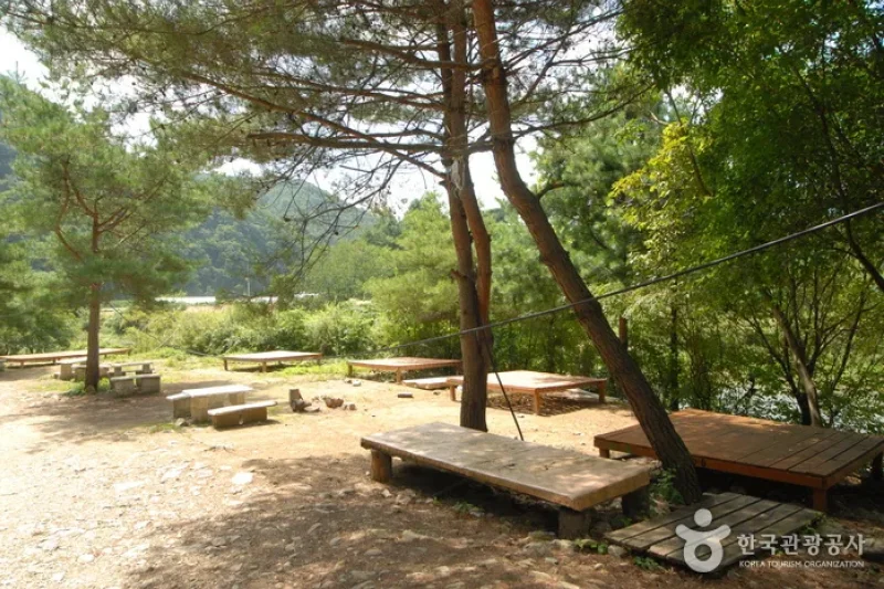 酒泉江自然休養林(주천강자연휴양림) (32/35)