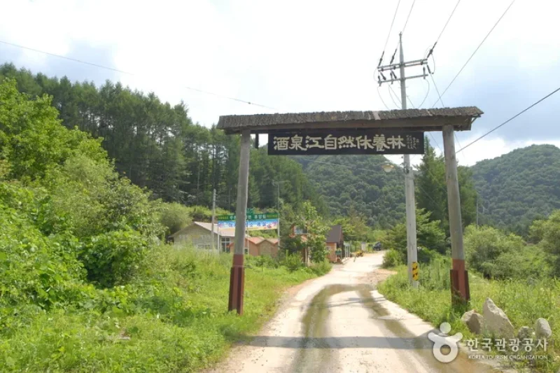 酒泉江自然休養林(주천강자연휴양림) (35/35)
