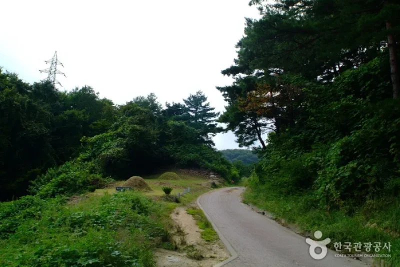 大關嶺古道 (3/5)