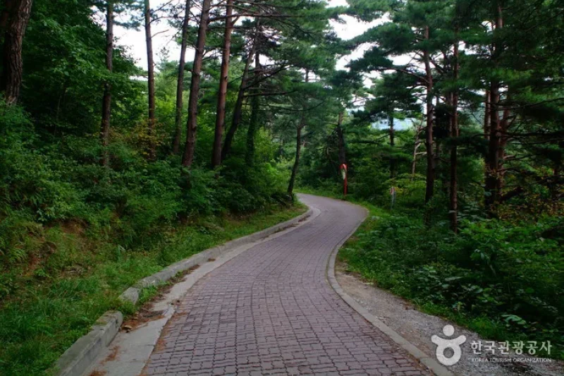 大關嶺古道 (4/5)