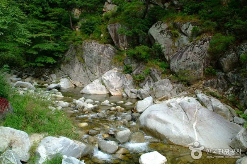 大關嶺古道 (5/5)