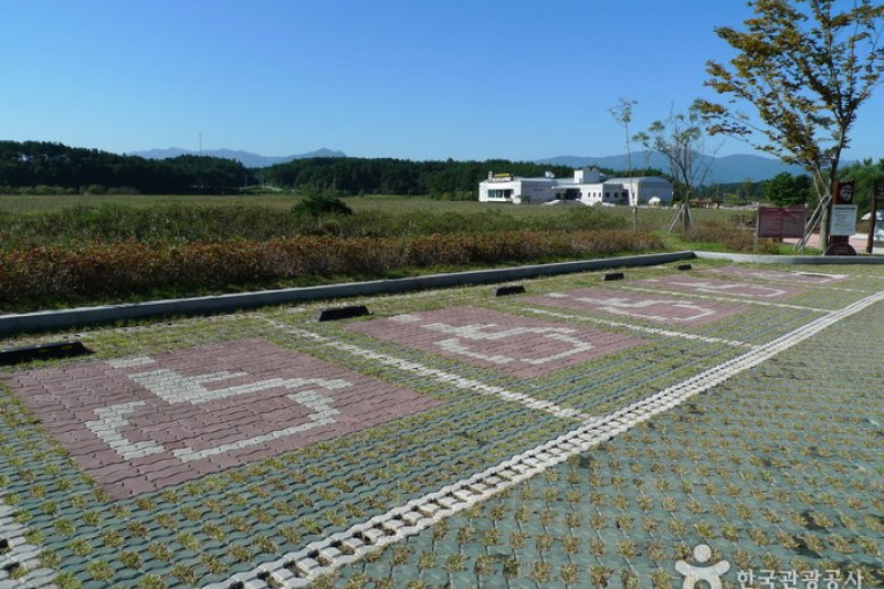 鳌山裡史前遺迹博物館 (4/43)