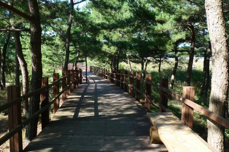 鳌山裡史前遺迹博物館 (6/43)