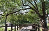 鳌山裡史前遺迹博物館