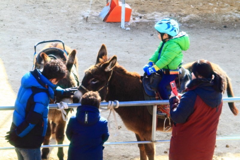洪川江冰原節 (4/8)