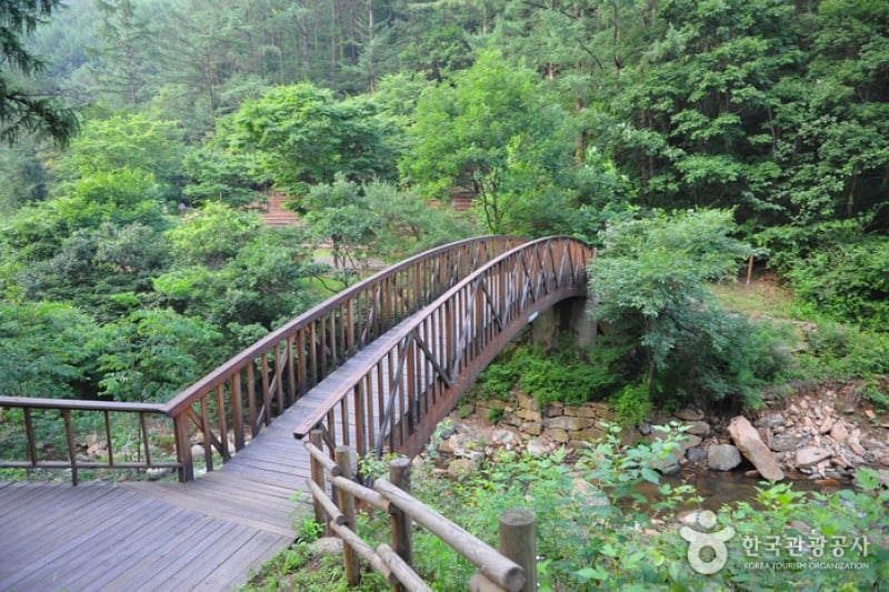 國立白雲山自然休養林 (3/3)