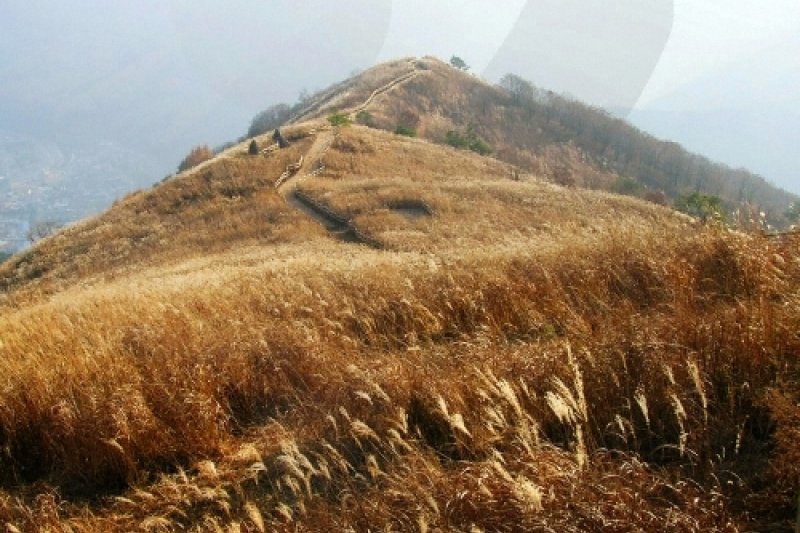 Min-dung山紫芒花節 (2/3)