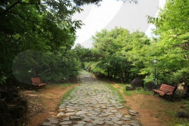 白馬高地戰爭遺址 (25/43)