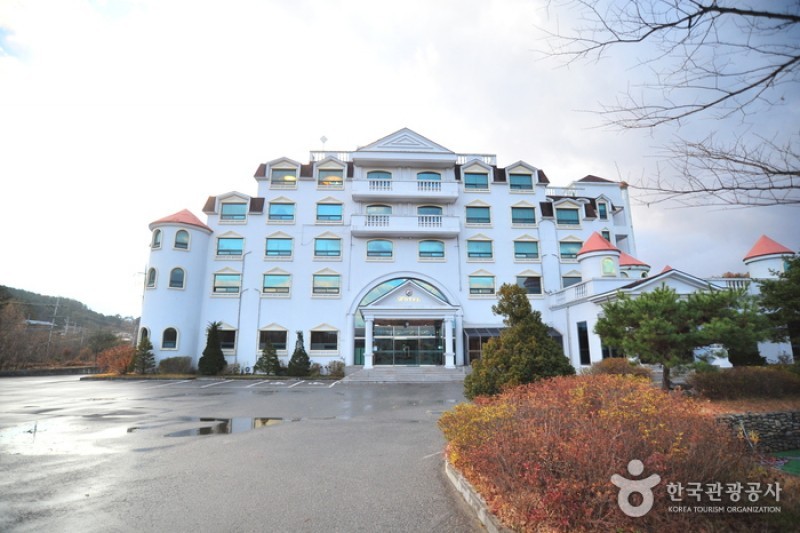 雉嶽山酒店 [優秀住宿設施]치악산호텔 [우수숙박시설 굿스테이] (3/29)