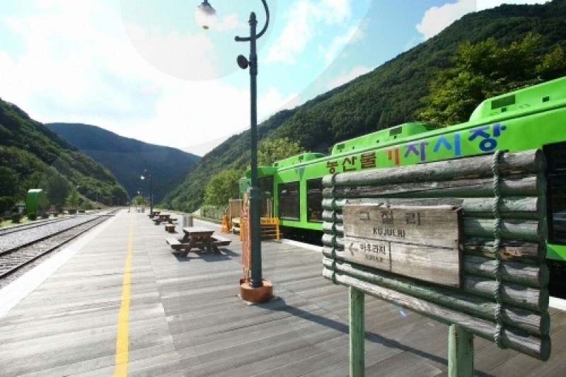旌善鐵路自行車 (2/5)