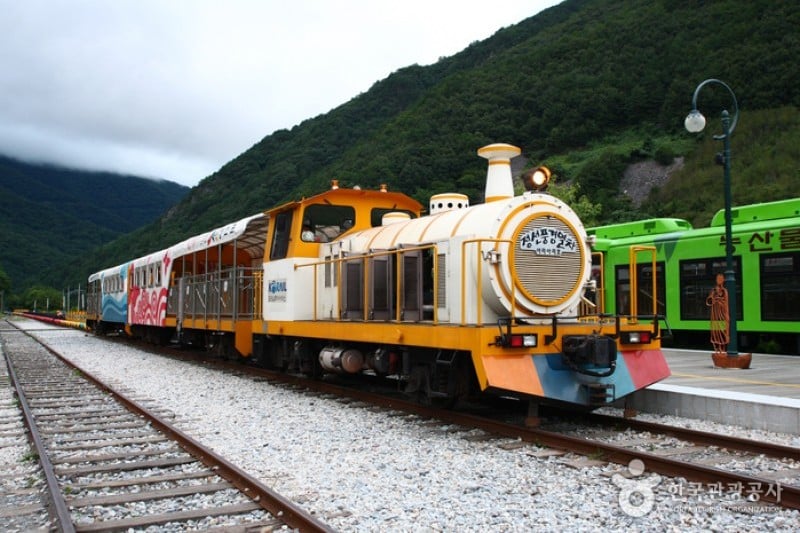 旌善鐵路自行車 (5/5)