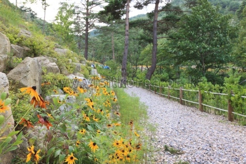 劍奉山自然休養林 (16/27)