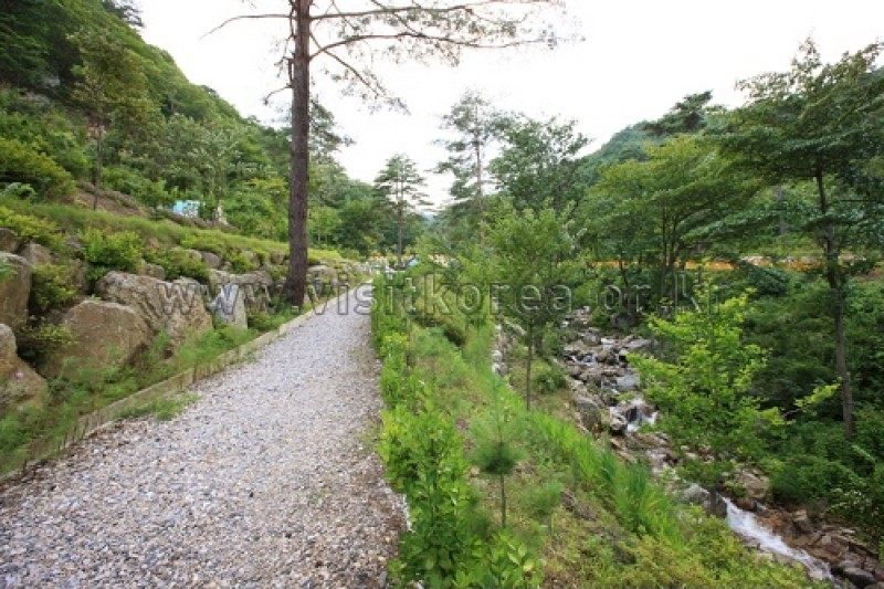 劍奉山自然休養林 (17/27)