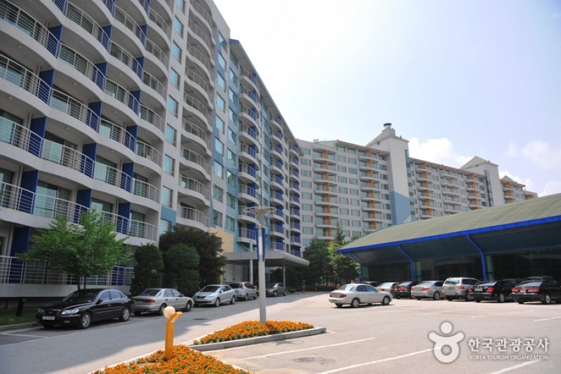 Welli Hilli Park渡假村 (6/7)