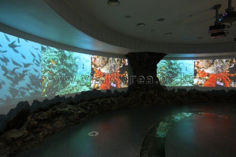 三陟漁村民俗展示館 (15/39)