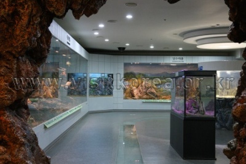 三陟漁村民俗展示館 (18/39)