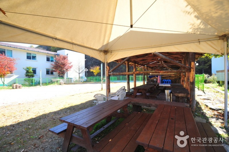 精品山谷家庭酒店[優秀住宿設施]