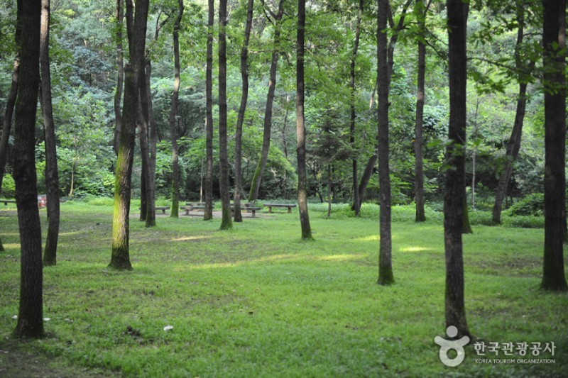 華城隆陵與健陵 [UNESCO世界文化遺產] (7/8)