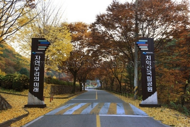 雉岳山國立公園 (4/43)