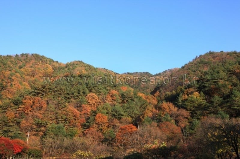 雉岳山國立公園 (5/43)