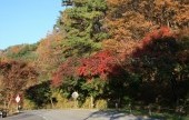 雉岳山國立公園