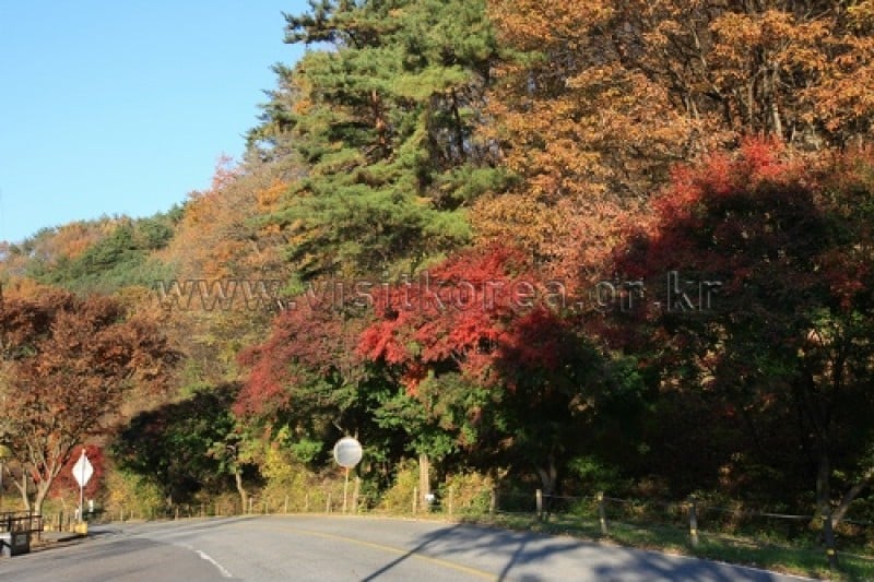 雉岳山國立公園 (8/43)