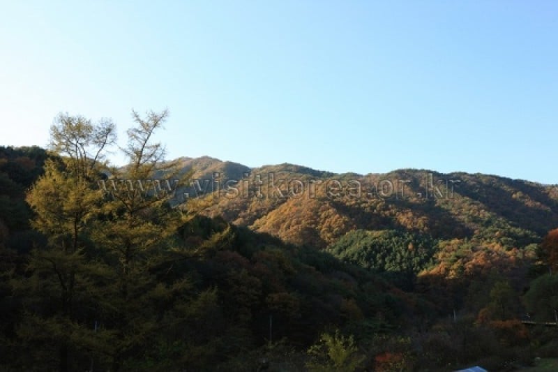 雉岳山國立公園 (9/43)