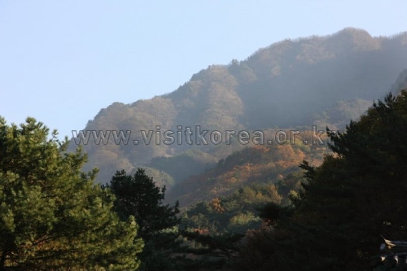 雉岳山國立公園 (10/43)