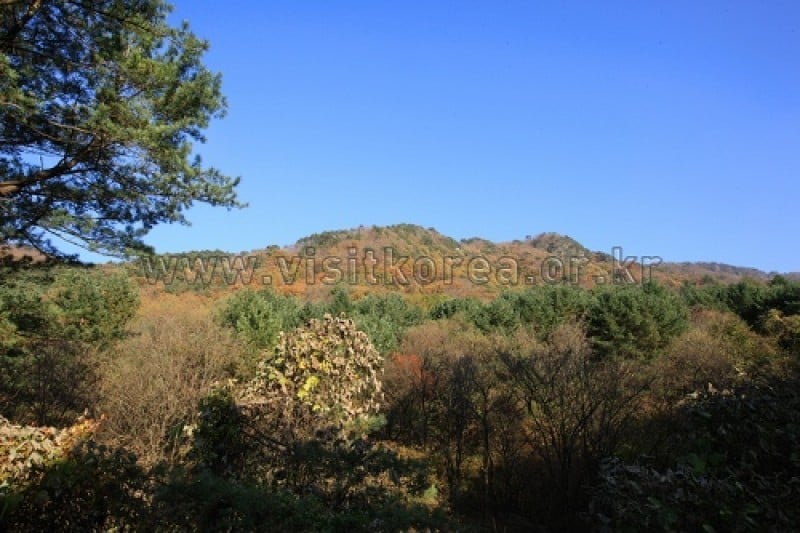 雉岳山國立公園 (11/43)