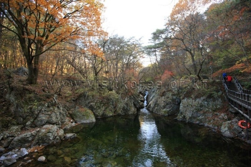 雉岳山國立公園 (12/43)