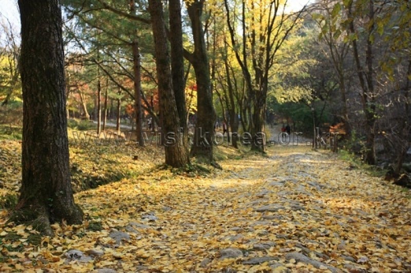 雉岳山國立公園 (13/43)