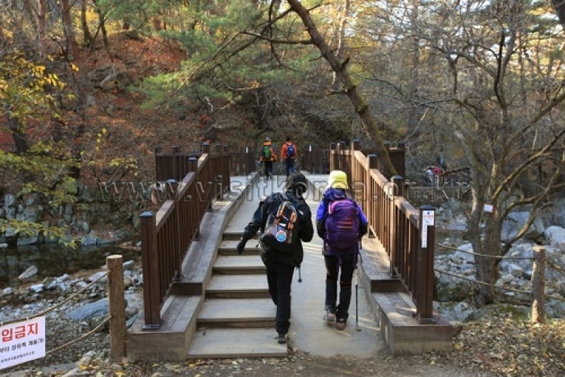 雉岳山國立公園 (14/43)