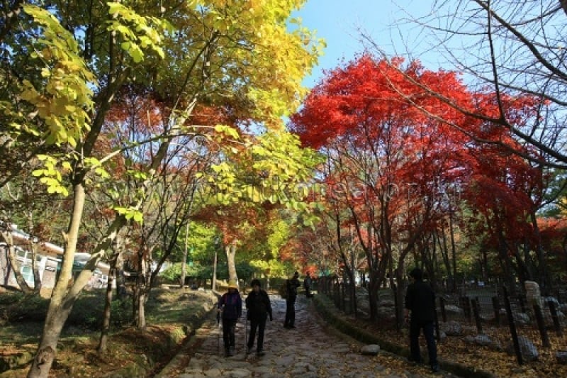 雉岳山國立公園 (15/43)