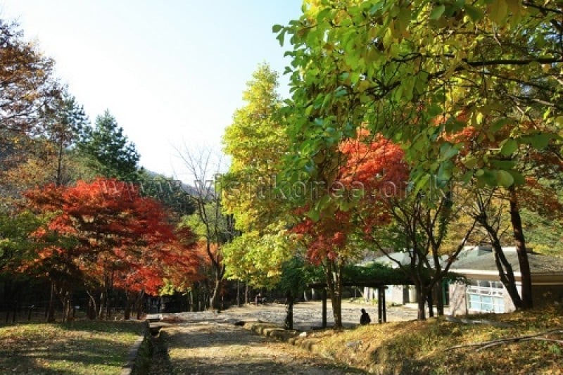 雉岳山國立公園 (16/43)