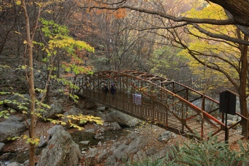 雉岳山國立公園 (18/43)
