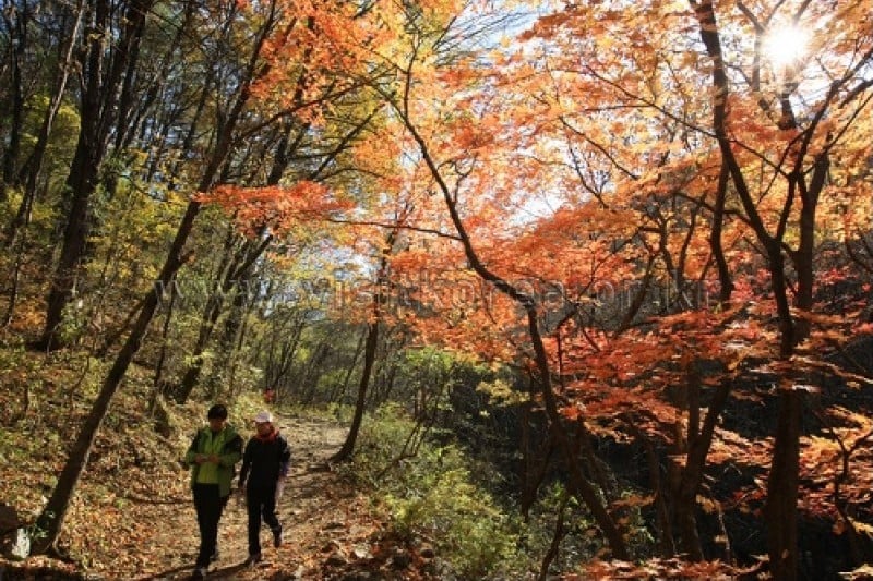 雉岳山國立公園 (19/43)