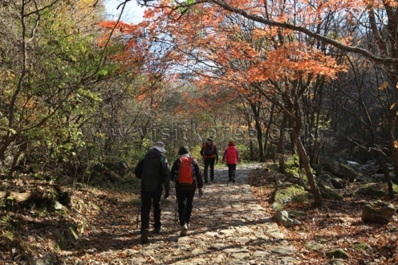 雉岳山國立公園 (21/43)