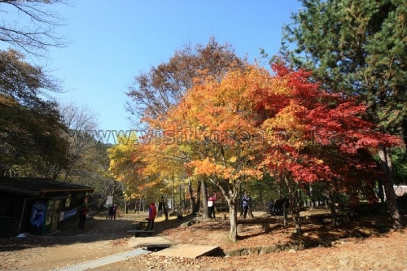雉岳山國立公園 (22/43)