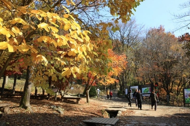 雉岳山國立公園 (23/43)