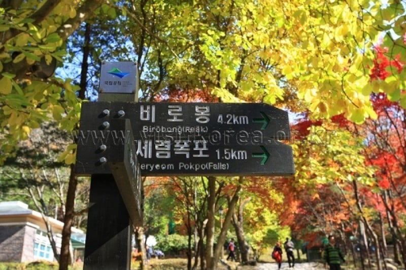 雉岳山國立公園 (25/43)