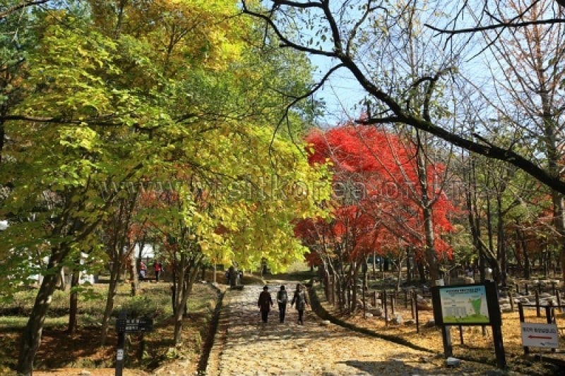雉岳山國立公園 (26/43)