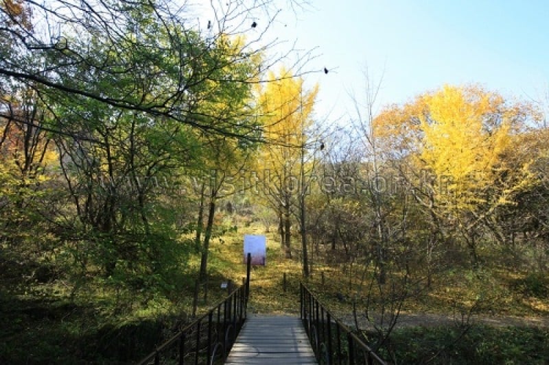 雉岳山國立公園 (27/43)