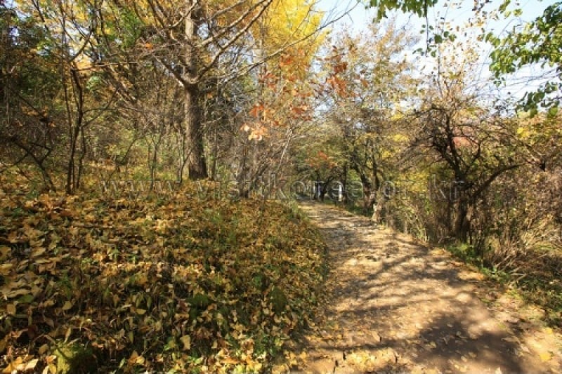 雉岳山國立公園 (28/43)
