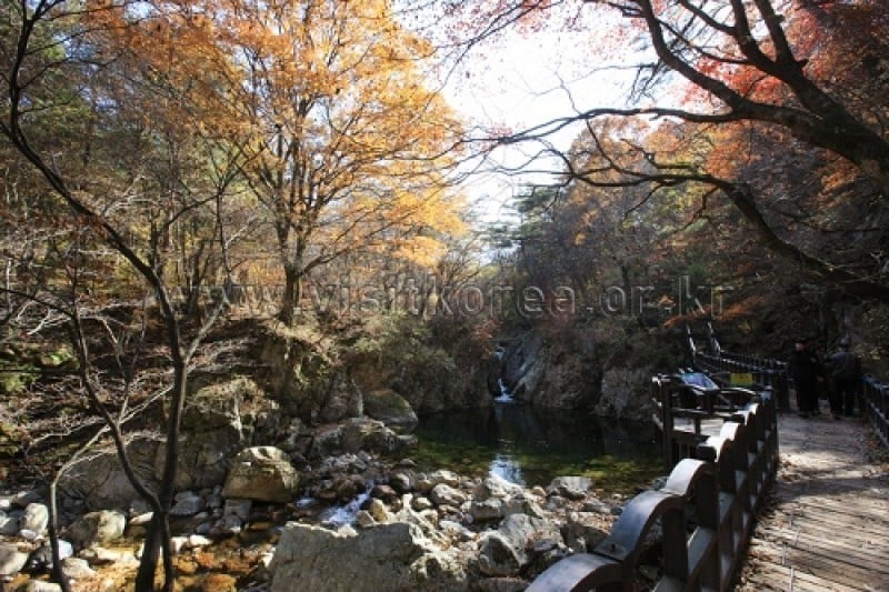 雉岳山國立公園 (29/43)
