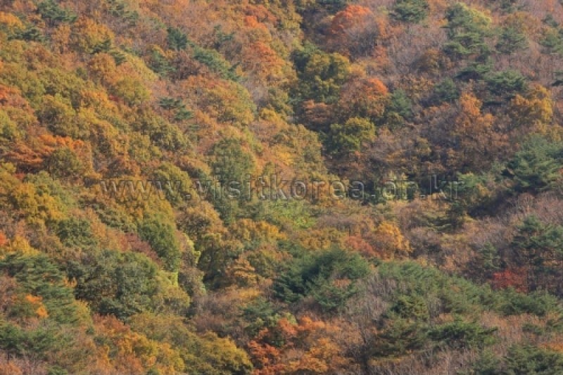 雉岳山國立公園 (30/43)