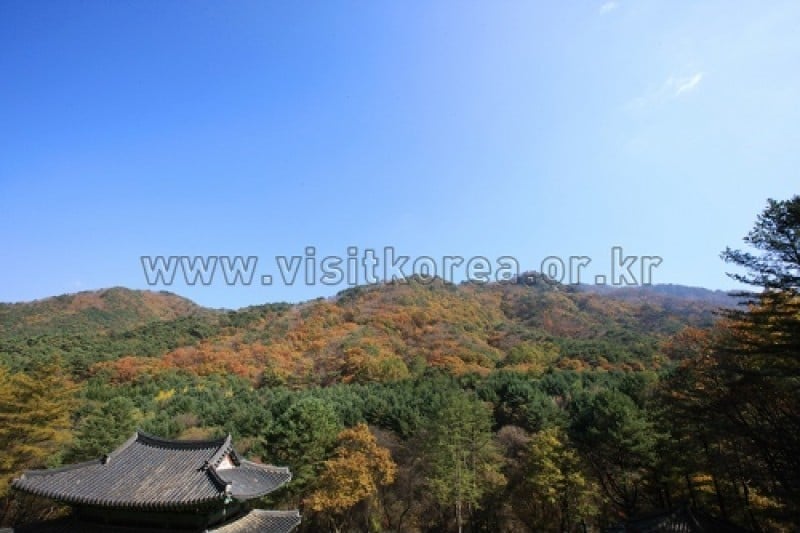 雉岳山國立公園 (32/43)