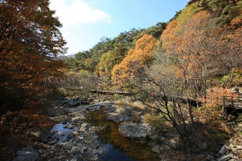 雉岳山國立公園 (33/43)