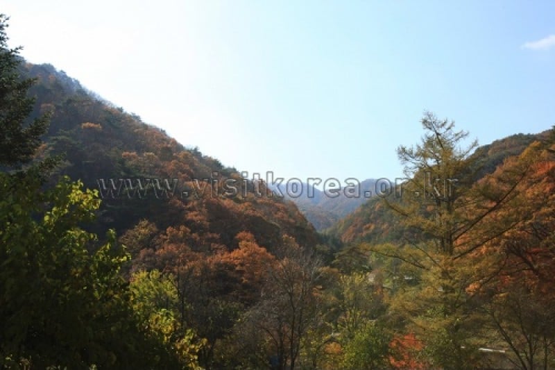 雉岳山國立公園 (37/43)